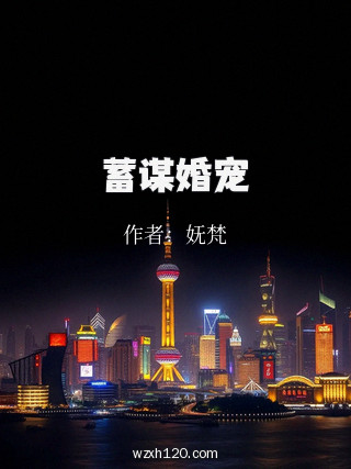 蓄谋婚宠