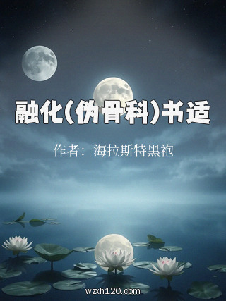 融化(伪骨科)书适
