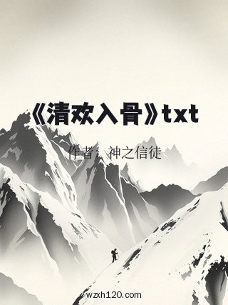 《清欢入骨》txt