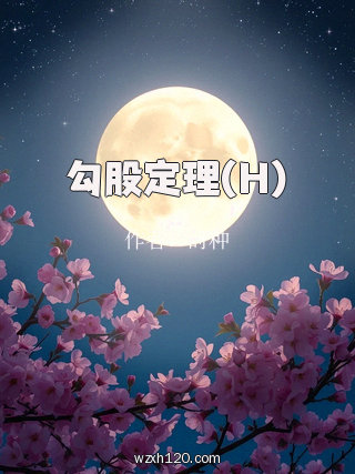 勾股定理(H)