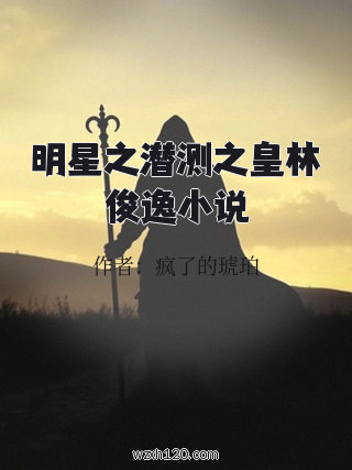 明星之潜测之皇林俊逸小说