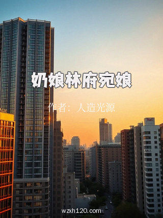 奶娘林府宛娘