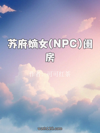 苏府嫡女(NPC)闺房