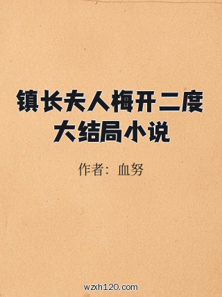 镇长夫人梅开二度大结局小说