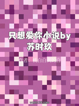 只想爱你小说by苏时玖
