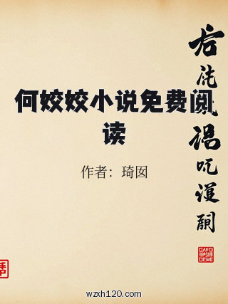 何姣姣小说免费阅读