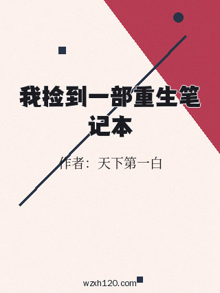我捡到一部重生笔记本