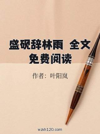 盛砚辞林雨濛全文免费阅读