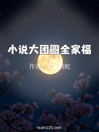 小说大团圆全家福