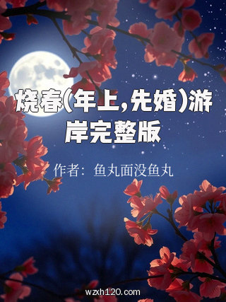 烧春(年上,先婚)游岸完整版