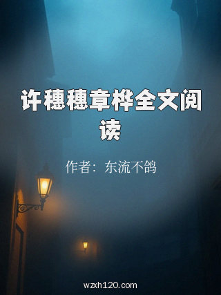 许穗穗章桦全文阅读