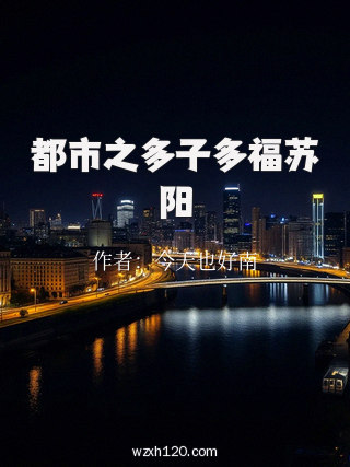 都市之多子多福苏阳