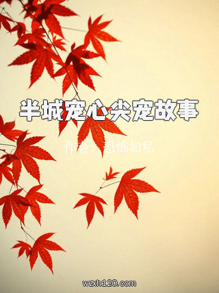 半城宠心尖宠故事