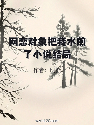 网恋对象把我水煎了小说结局