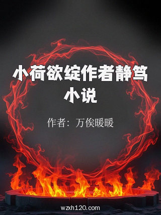 小荷欲绽作者静笃小说