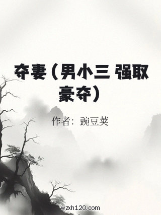 夺妻(男小三 强取豪夺)