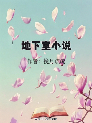 地下室小说