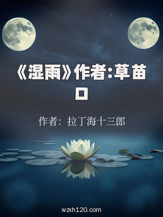 《湿雨》作者:草苗口