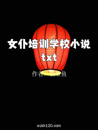 女仆培训学校小说txt