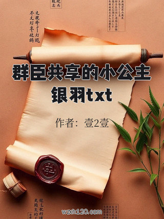 群臣共享的小公主银羽txt
