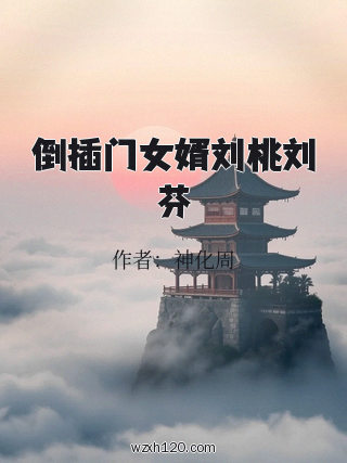 倒插门女婿刘桃刘芬