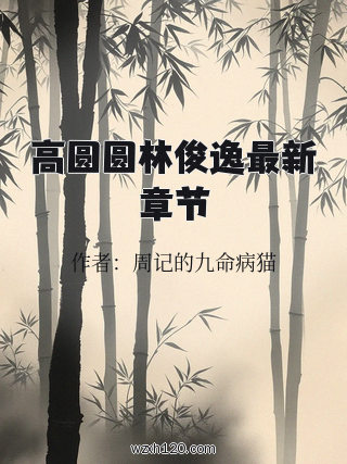 高圆圆林俊逸最新章节