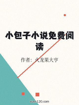 小包子小说免费阅读