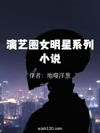 演艺圈女明星系列小说