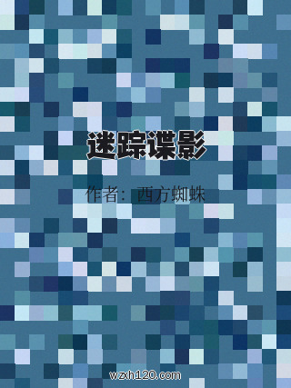 迷踪谍影