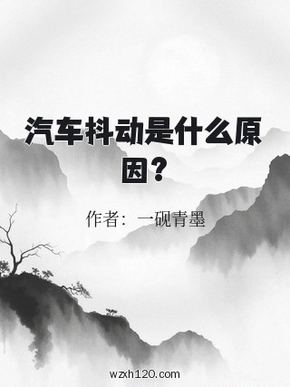 汽车抖动是什么原因?