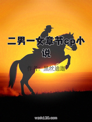 二男一女章节cp小说