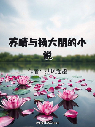 苏晴与杨大朋的小说