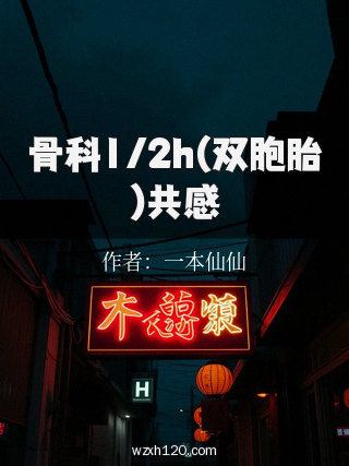 骨科1/2h(双胞胎)共感