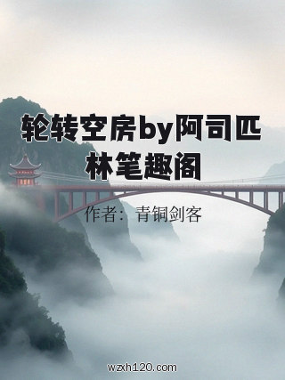 轮转空房by阿司匹林笔趣阁