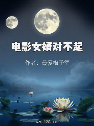 电影女婿对不起
