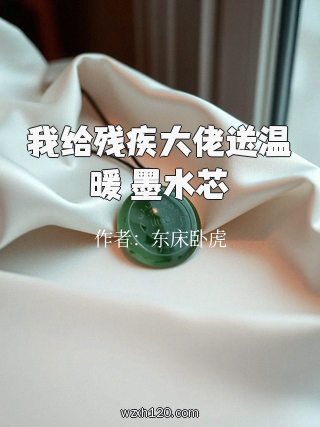 我给残疾大佬送温暖 墨水芯