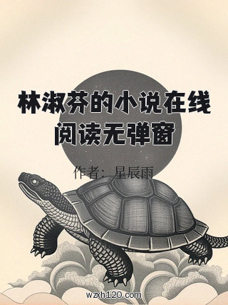林淑芬的小说在线阅读无弹窗