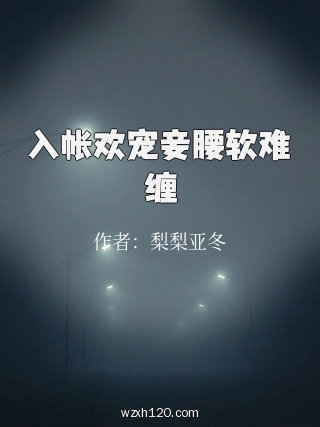 入帐欢宠妾腰软难缠