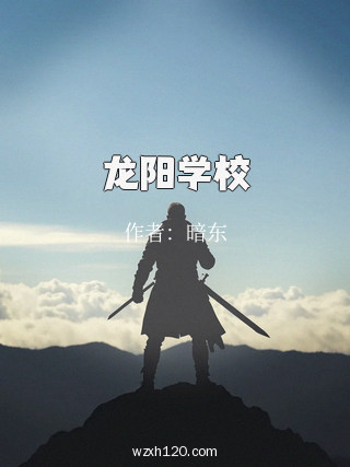 龙阳学校