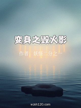 变身之毁火影