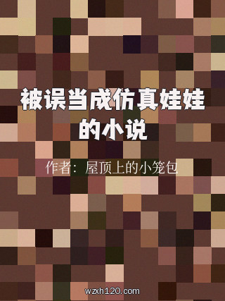 被误当成仿真娃娃的小说