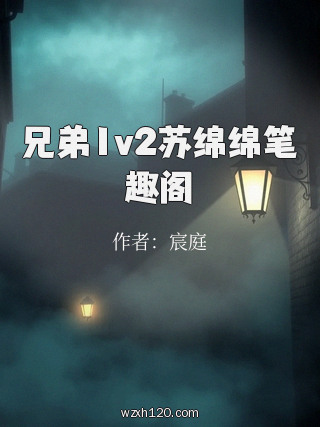 兄弟1v2苏绵绵笔趣阁