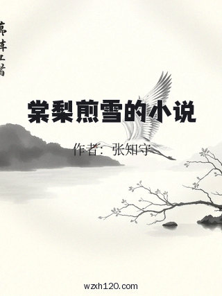 棠梨煎雪的小说
