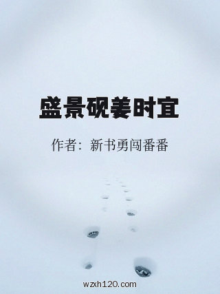 盛景砚姜时宜