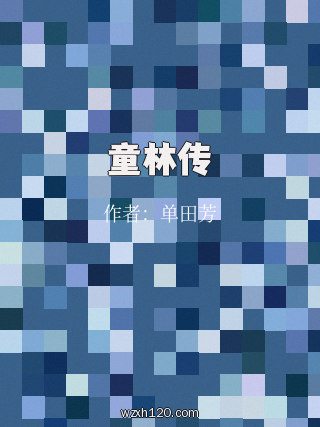 童林传