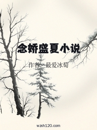 念娇盛夏小说