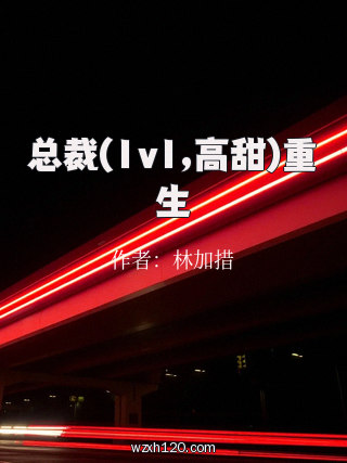 总裁(1v1,高甜)重生