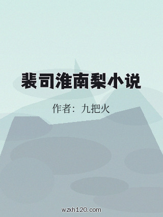 裴司淮南梨小说