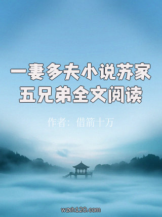 一妻多夫小说苏家五兄弟全文阅读