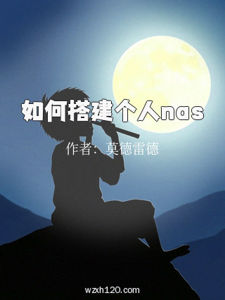 如何搭建个人nas